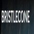 Bristlecone jobs