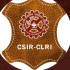 CSIR Central Leather Research Institute jobs