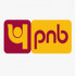 Punjab National Bank job vacancies