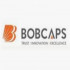 BOB Capital Markets Ltd