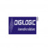 Digilogic Systems job vacancies