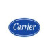 Carrier Global Security systems services company