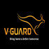 V-Guard Industries Consumer electronics company