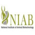 National Institute of Animal Biotechnology Recruitment